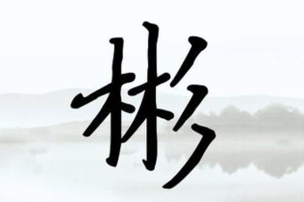 彬名字女：探寻名字中的文化韵呿