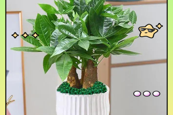植物风水秘籍：办公室绿植布局，财运亨通指南