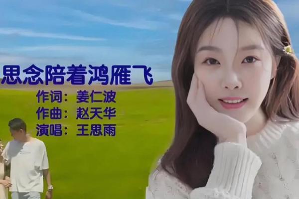 王雁：翱翔蓝天，雁阵高飞的灵动人生