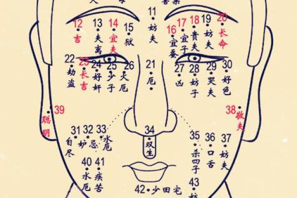 痣相脸图解大全：女人面相痣相全解密！