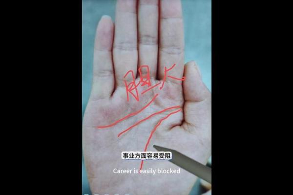 手相洞察术：清晰明了，未来运势一览无余