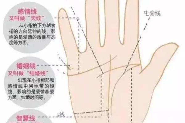 解锁手相秘密：一图掌握人生运势规律