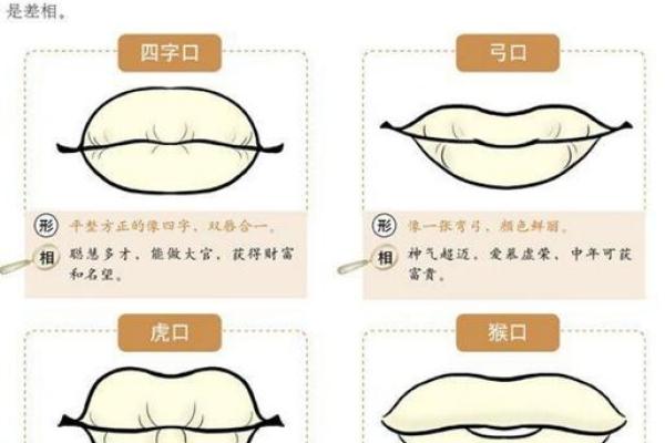 牙床外露女孩的面相解析：揭示命运与性格的秘密