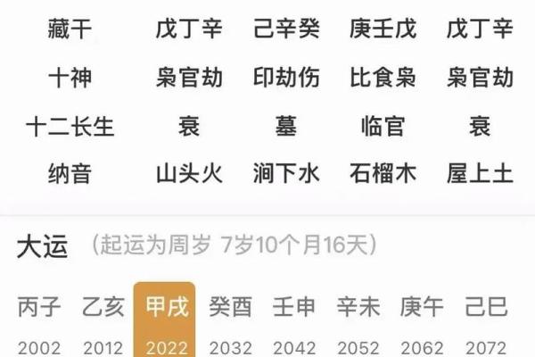 成就非凡，戌地支干蕴藏的智慧之光