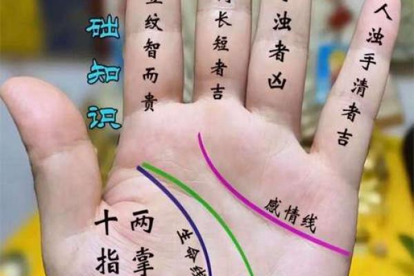 手相大师瑞德：解锁人生运势的神奇之门