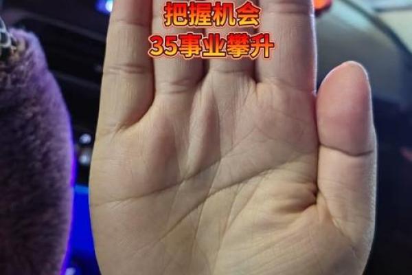 手相大师瑞德：解锁人生运势的神奇之门