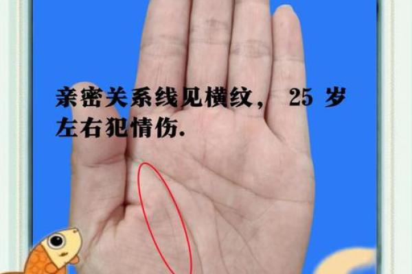 惊艳全球的手相秘密：解读异国姻缘的神秘力量