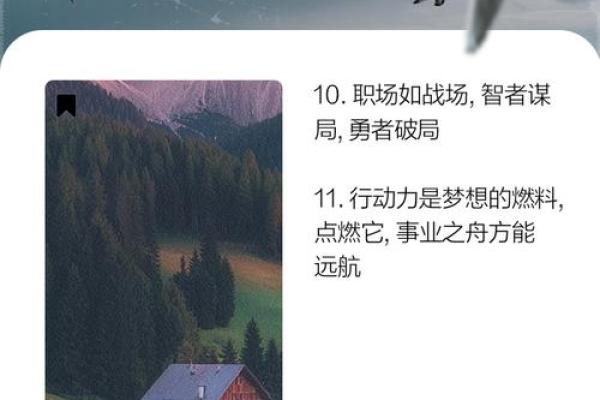 职场风水揭秘：配置技巧助你事业腾飞