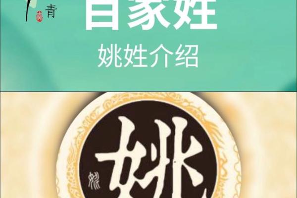 姚氏宝宝，灵动美名等你来取