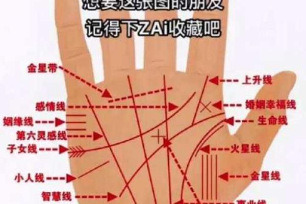 手相周易揭秘：命运密码，一指之间尽知未来