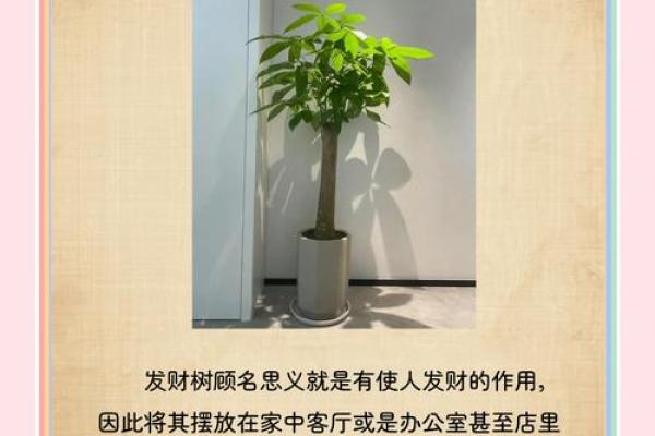 家居风水大师揭秘：如何挑选最佳床位