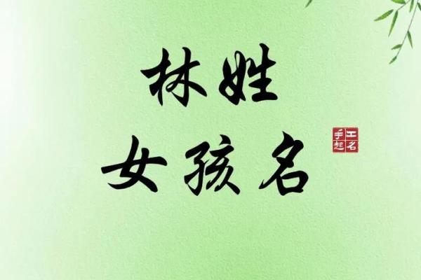 灵动可爱：林姓女宝宝名字精选