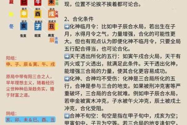 地支相合，运势亨通，揭秘十二地支和谐之道