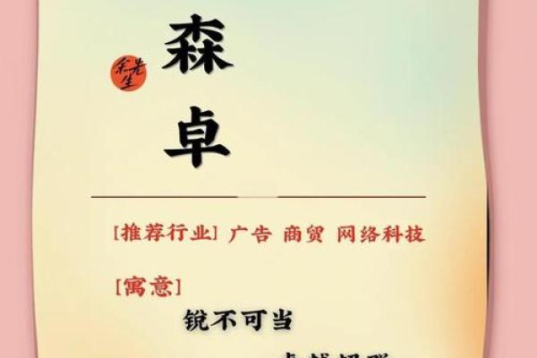 科技公司命名中常用的字与含义