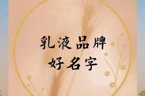 公司起名与市场定位的深度关联解析
