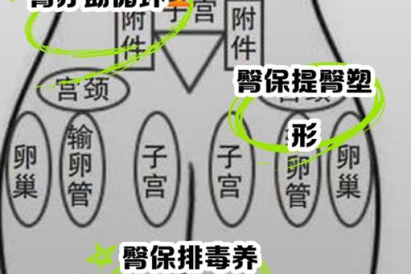 肉肉中藏着的秘密，屁股痣让你更迷人！