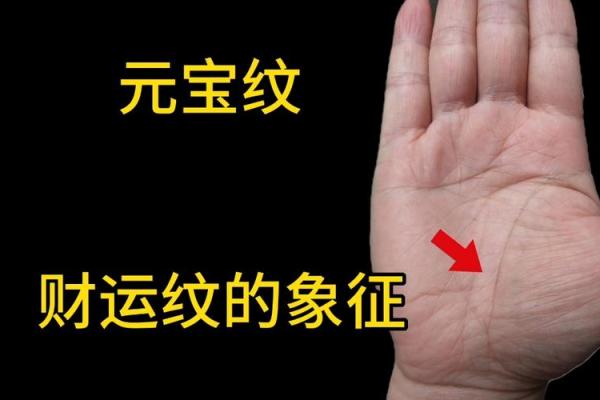男士手相揭秘：元宝纹暗示大富大贵！