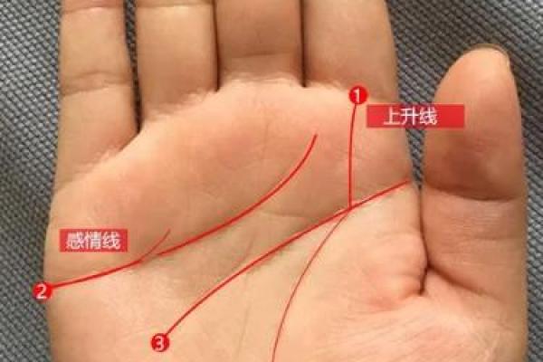 脚底观相术：揭秘命运与性格的秘密