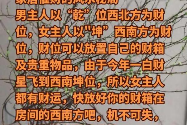 风水大师独家秘籍：轻松招财纳福，财运亨通！