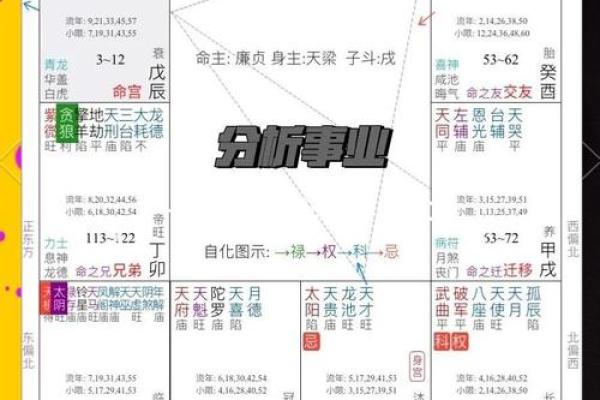 天机解码：揭秘你的运势巅峰！