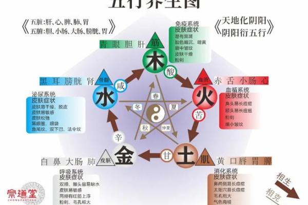 揭秘孟五行属什么的深层含义