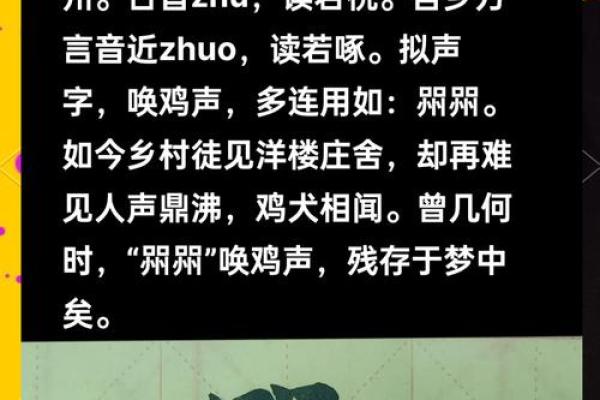 姓名文化探秘：探究名字的历史演变与影哿