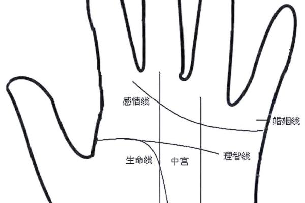 川字掌纹，命运密码大揭秘！