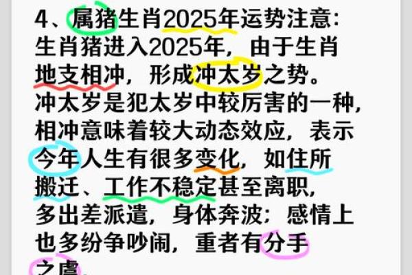 属猪人的地支揭秘：探寻生肖背后的文化内涵