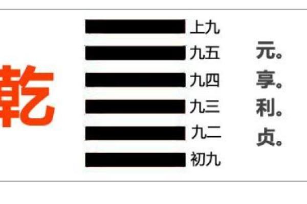 金龙腾跃，乾卦地支蕴藏无穷力量