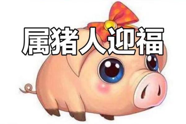 猪年运势大揭秘：财运亨通，事业旺旺