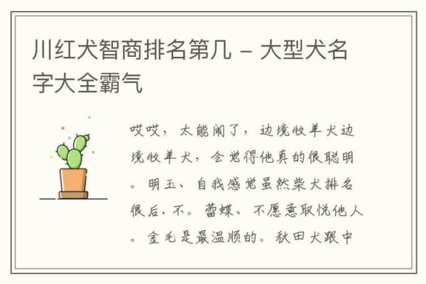 宠物狗霸气名字大全，给你的爱犬增添威风气质