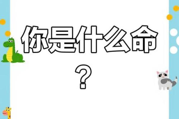 张悦名字解析：深度评估其五行与命运