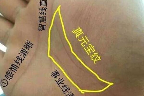 掌上乾坤：揭秘女生手相掌纹的秘密
