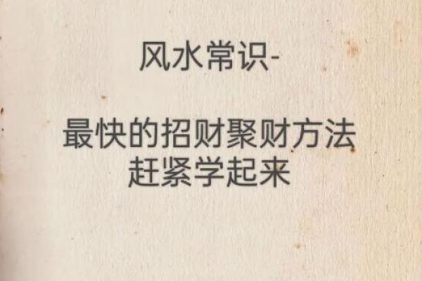 风水布局秘籍：让你的家财运亨通，运势翻倍