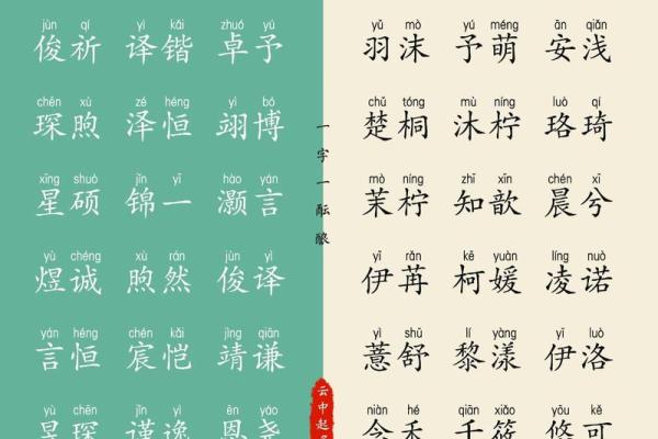 属龙男士如何为公司起个响亮的名字