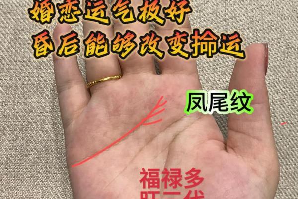 凤尾纹男士手相：揭秘财运亨通的秘密