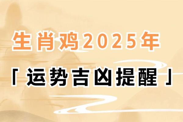 属鸡运势起伏，如何抓住好运机遇
