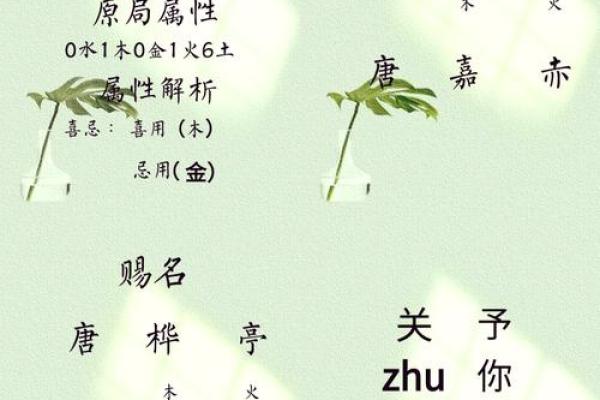 唐姓取名宝典：四字佳名精逿