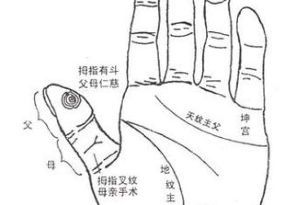 掌中痣相大解析，揭秘你的性格、运势与爱情！