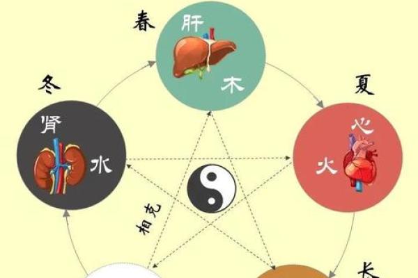 医学五行与健康的关系探析