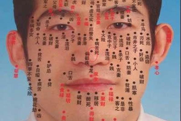 贵气逼人，揭秘男相女痣的独特魅力！