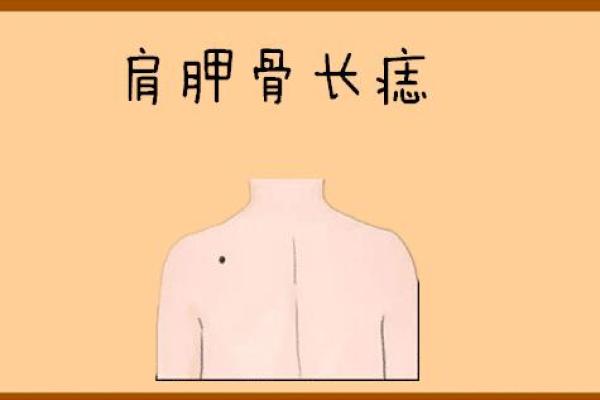神秘肩痣，神秘女，揭秘肩膀痣相女生的独特魅力