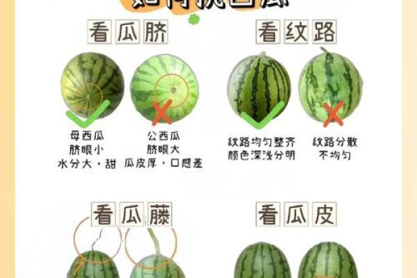 瓜皮命名法则：如何为孩子挑选一个好名字