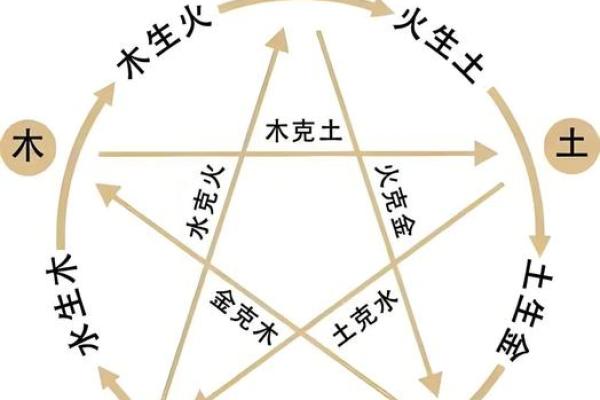 地支之间暗藏玄机，五行相生相克大揭秘