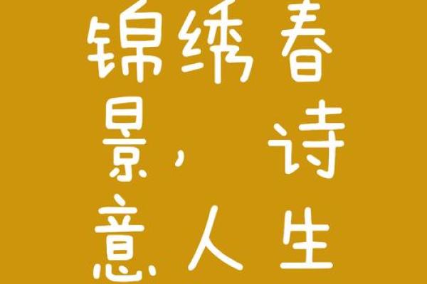 悦享安宁，褀带幸福