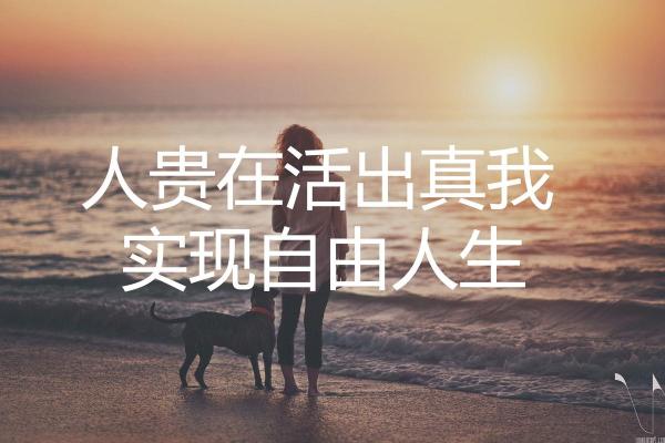 手相文昌位，开启智慧人生