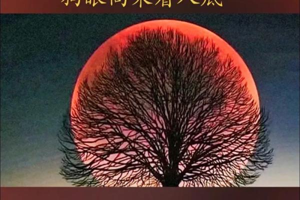 手相文昌位，开启智慧人生
