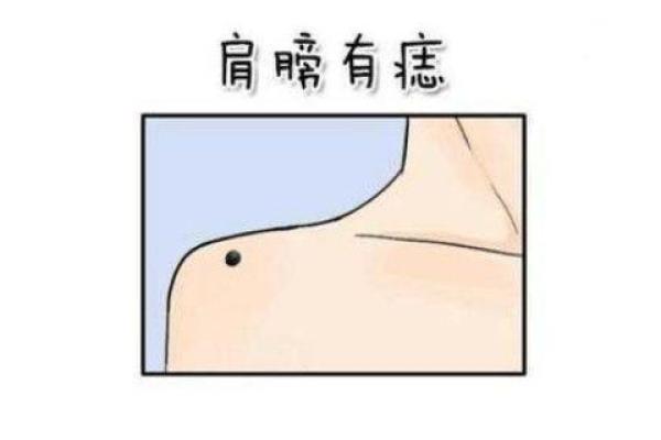 肩胛显隆，面相解析：揭示健康与运势的微妙联系