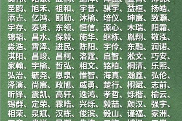 静男孩名字的独特寓意与选择指南