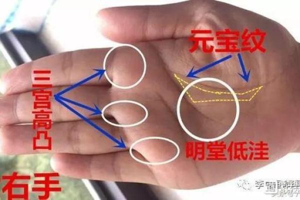 天命所指，揭秘人生三宫运势之谜